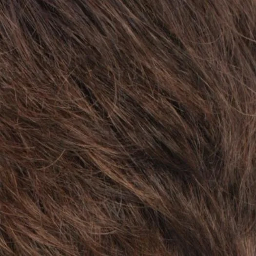 R6/27H | Chestnut Brown With Light Auburn Highlights