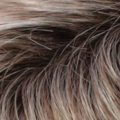 RH1488RT8 | Dark Blonde w/Light Copper Blonde Highlights & Golden Brown Roots