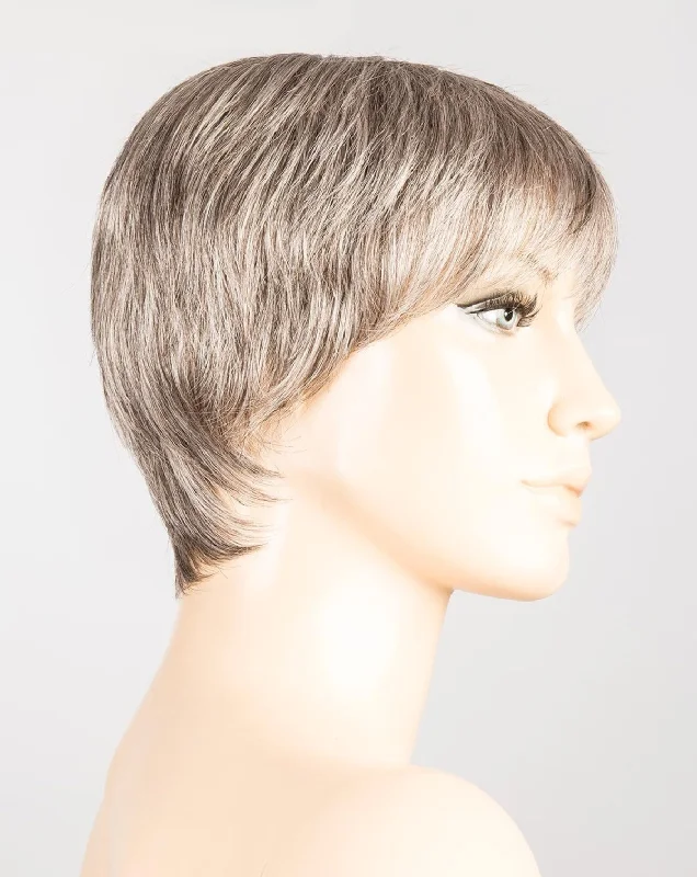Stone Grey Mix 58.51.56 | Blend of Medium Brown Silver Grey and white