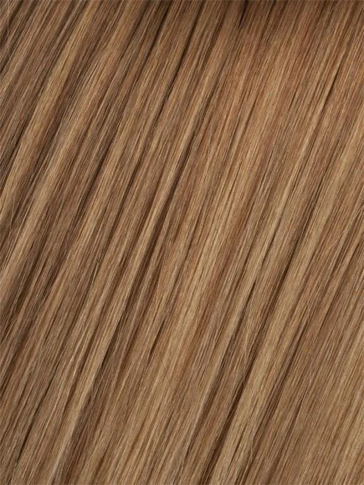 10/14T Medium Golden Brown Brown Blended with Dark Ash Blonde Dark Ash Blonde Tips