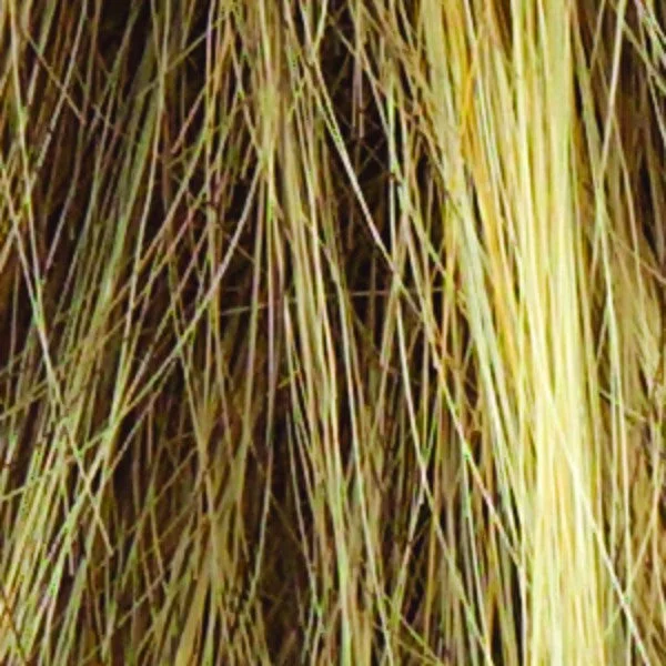 R13F25 | Praline Foil | Neutral Medium Brown with Pale Gold  highlights around the face
