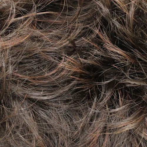 Ginger Brown | Ginger Brown | Dark Brown 4 , Medium Chestnut Brown 6, highlighted with Medium Golden Brown 10