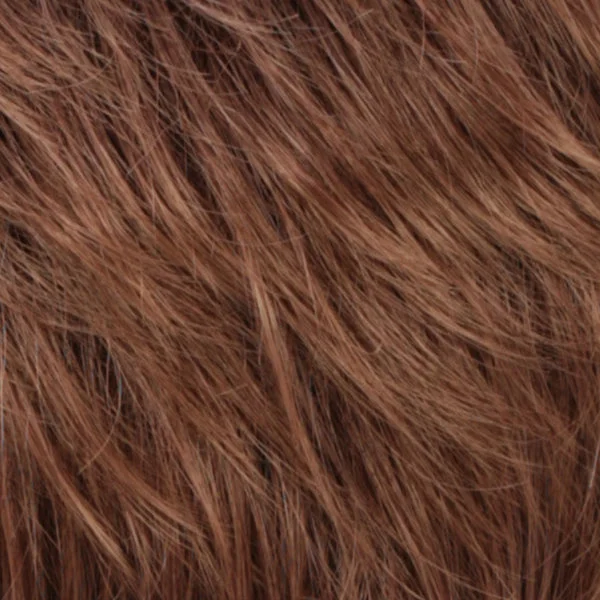 RT27/30 | Light Auburn Tipped with Medium Auburn