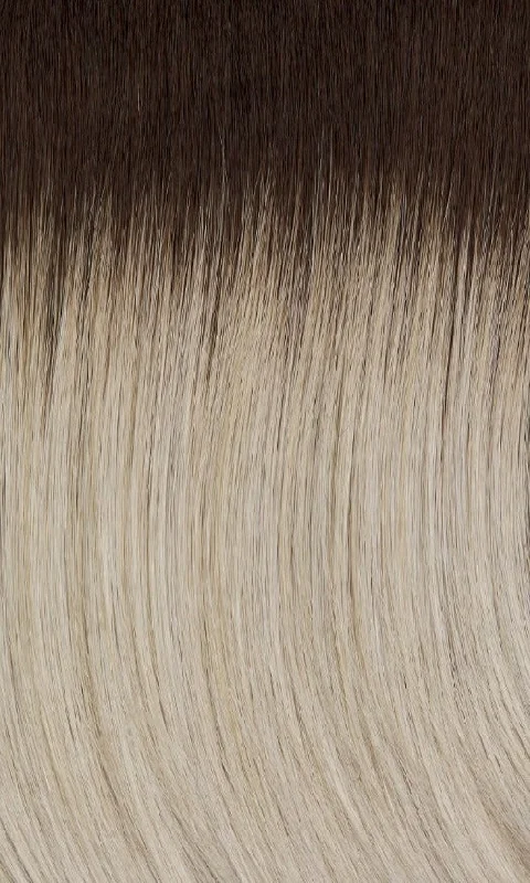 60/101GR | Silver tones with light platinum highlights and brown roots