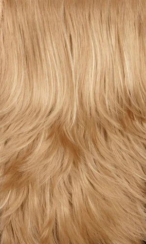 16H - Ash blonde with platinum blonde highlights