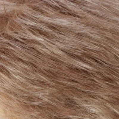 R14/26H Dark Blonde with Golden Blonde Highlights