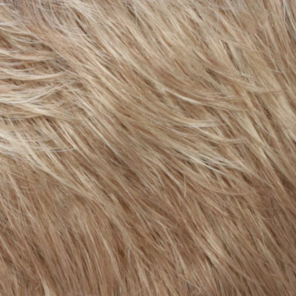 RH1488RT8 | Highlighted Copper Blonde with Golden Brown Roots