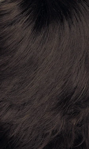 4GR - Dark brown with medium brown highlights and black roots