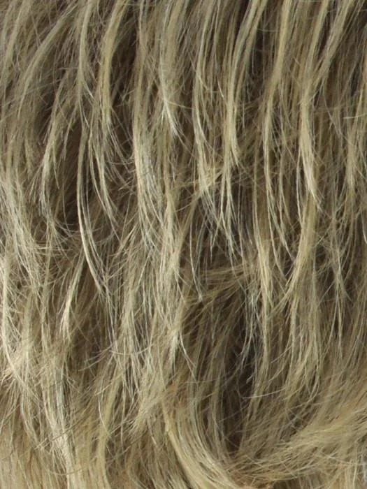 24B/18T Golden Blonde Blended with Ash Blonde Ash Blonde Tips