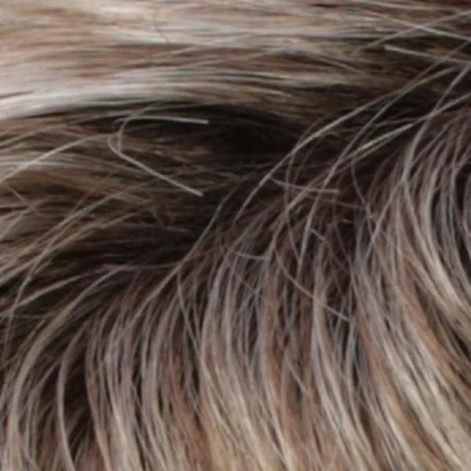 RH1488RT8 | Dark Blonde w/Light Copper Blonde Highlights & Golden Brown Roots