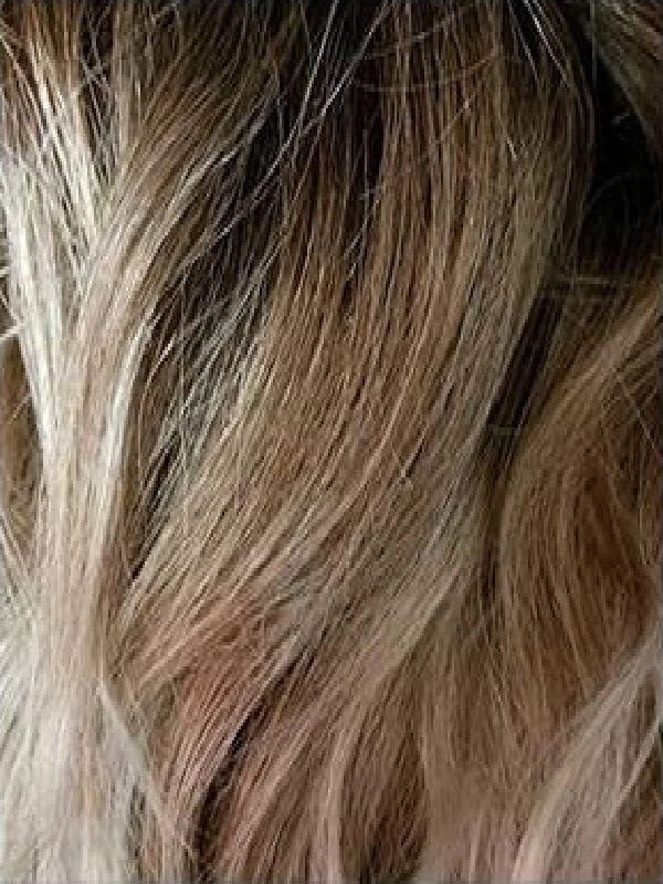 Melted Marshmallow| 3 tone color : Dark warm brown root to warm light blond base transform to white blond tip